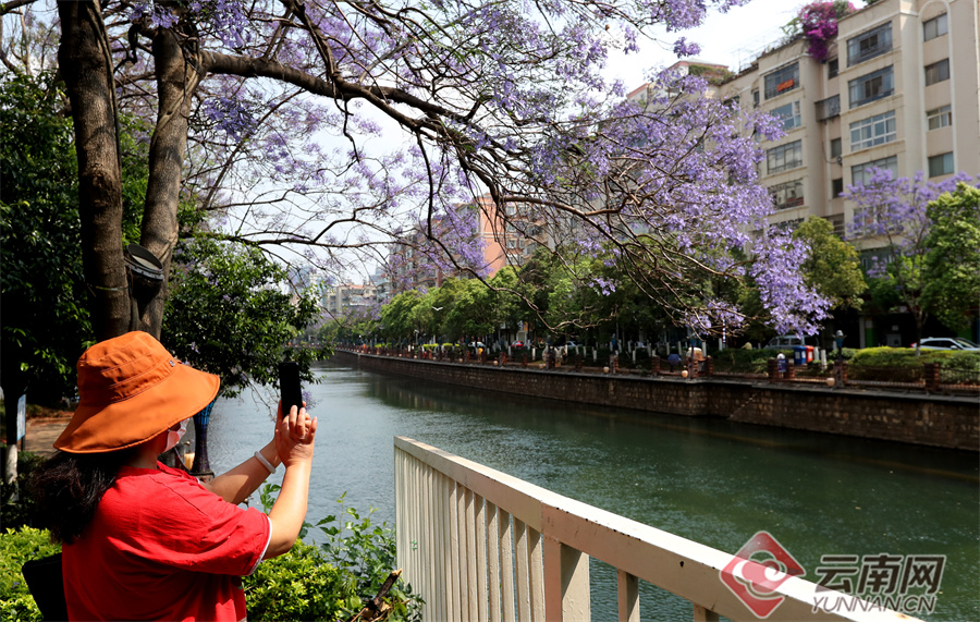 新华网云南频道