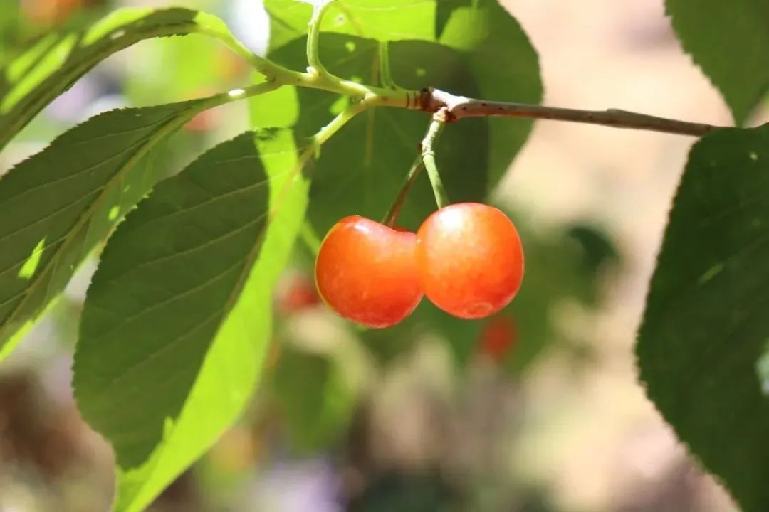 昆明文旅