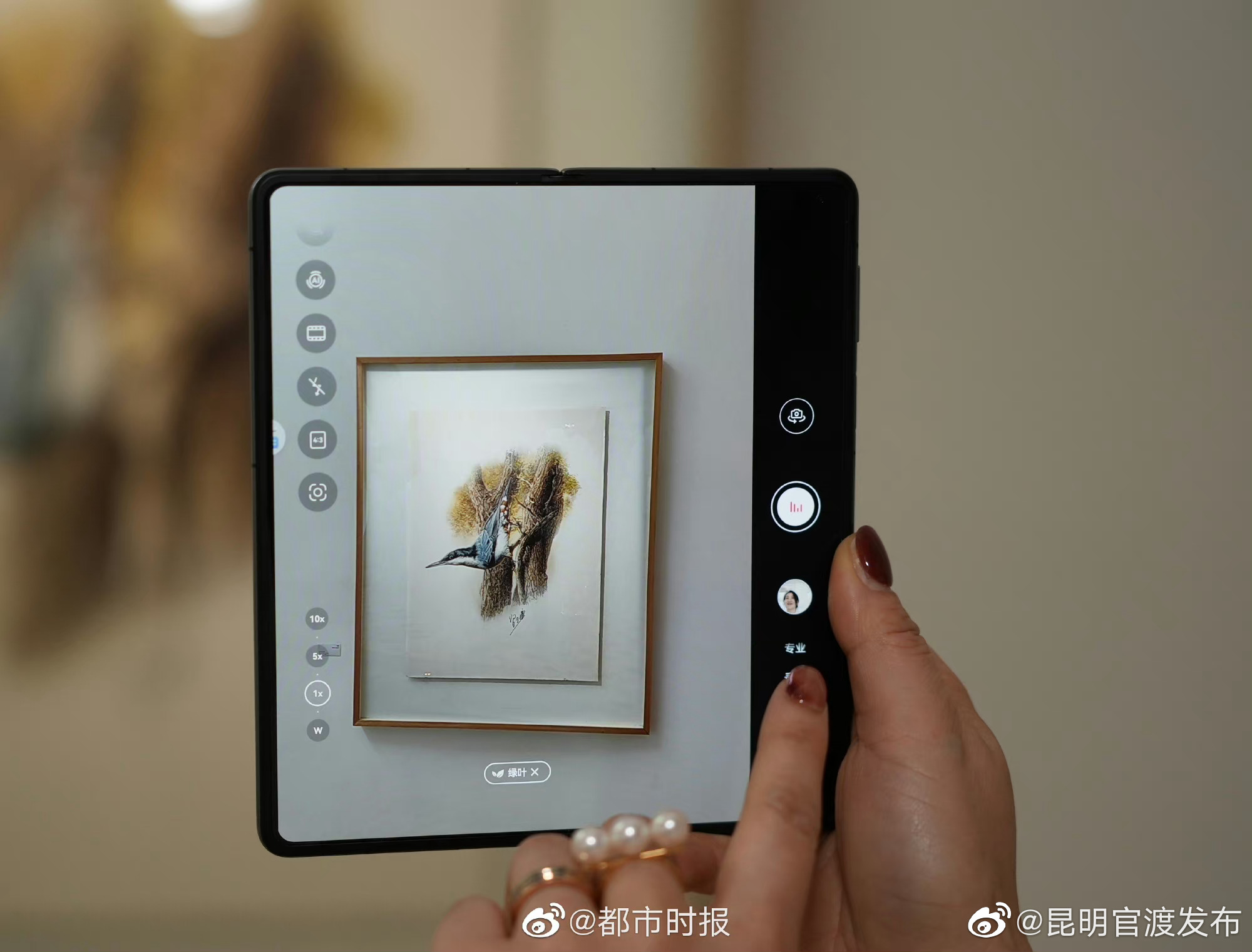 “昆明官渡发布”微博