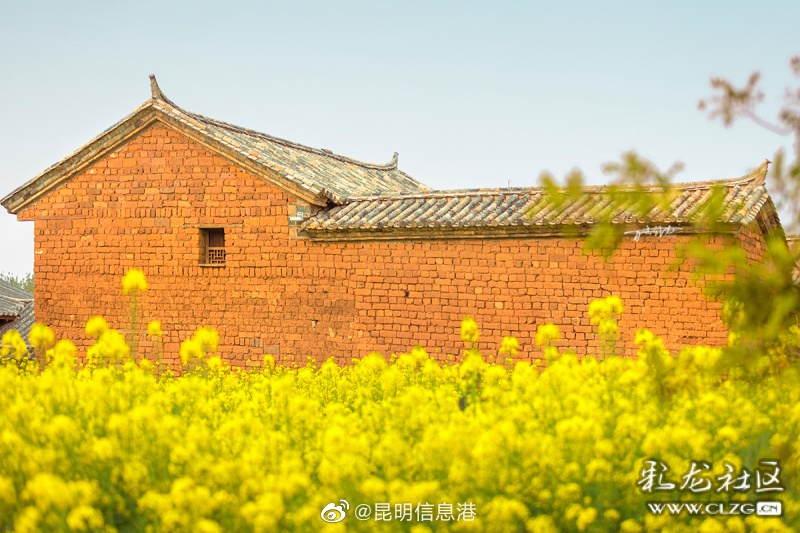 昆明信息港（微博）