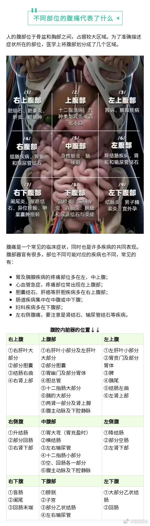 不同位置的肚子疼代表什么？