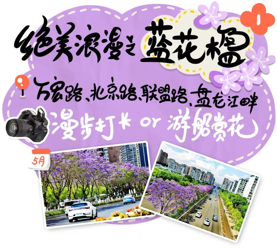 微观盘龙