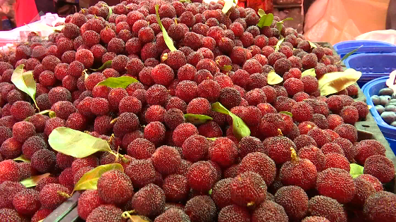 昆明信息港/cnkmxxg