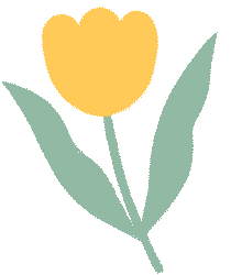 西双版纳望天树景区