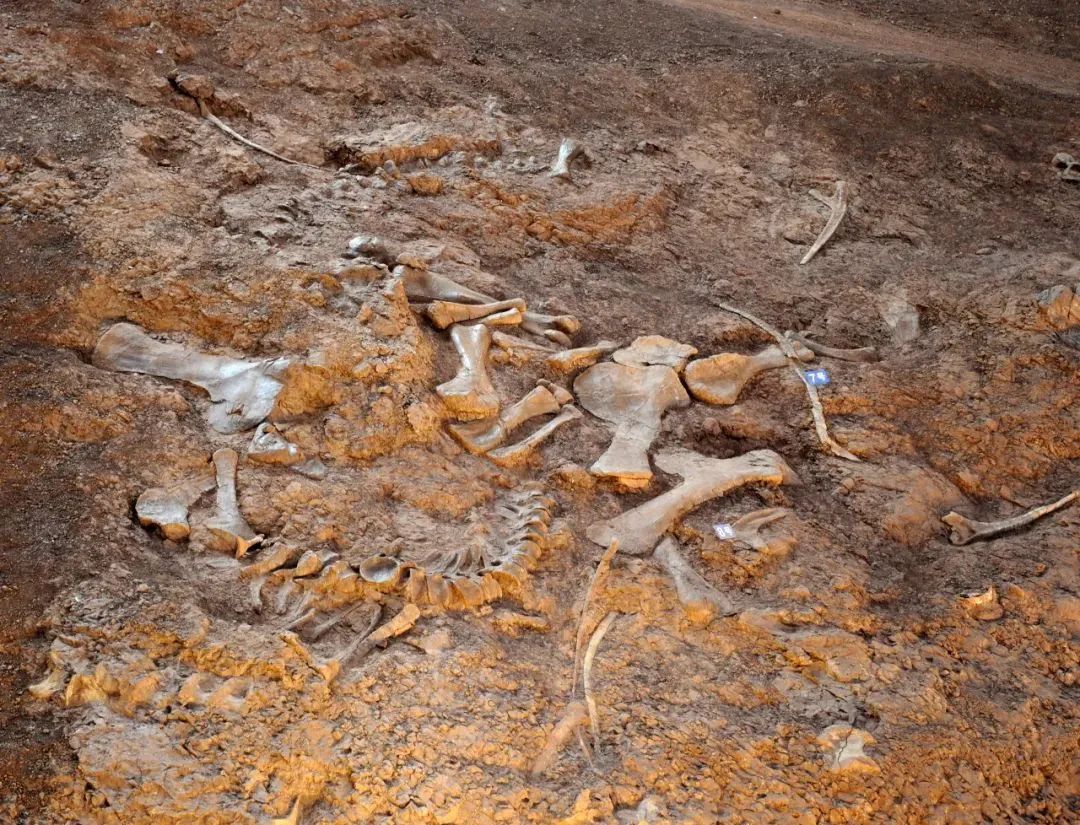 云南省文化和旅游厅