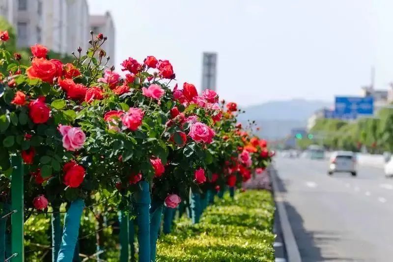 昆明文旅