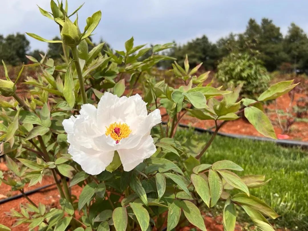 昆明阳宗海风景名胜区