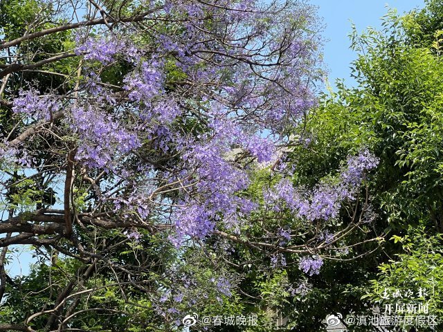 滇池旅游度假区