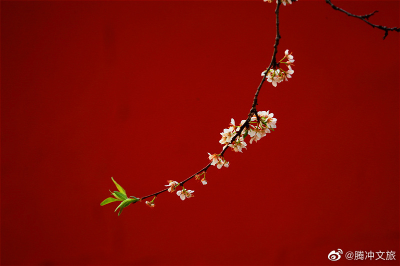 腾冲文旅微博