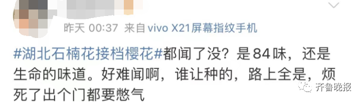 春城晚报