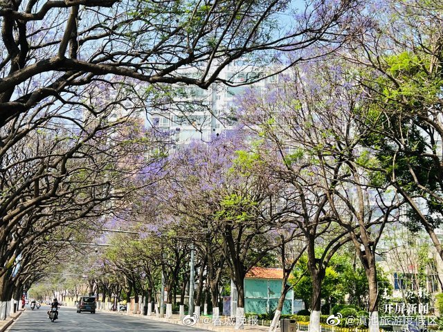 滇池旅游度假区