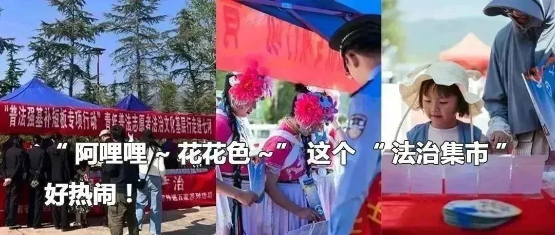 云南政法