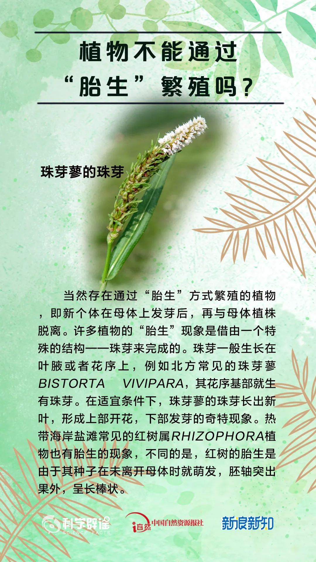 美丽云南微科普