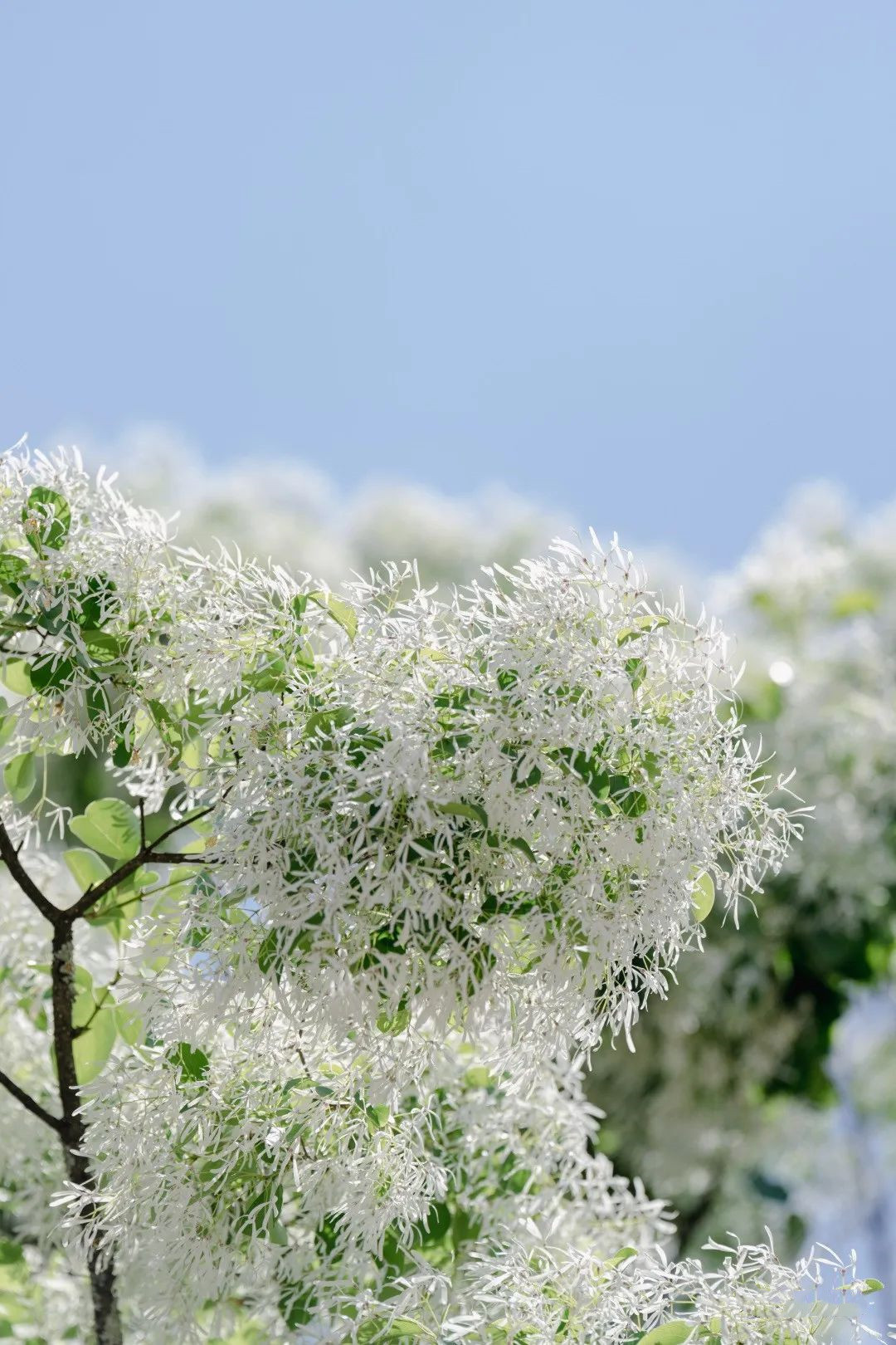 云南省文化和旅游厅