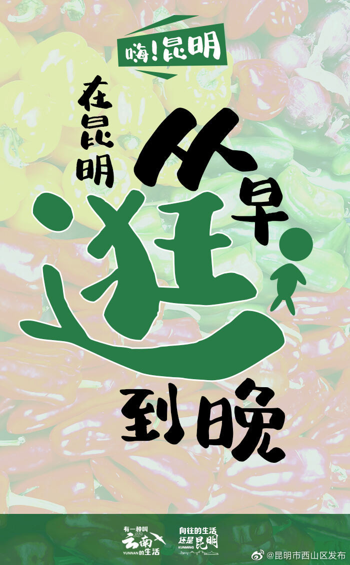 昆明市西山区发布