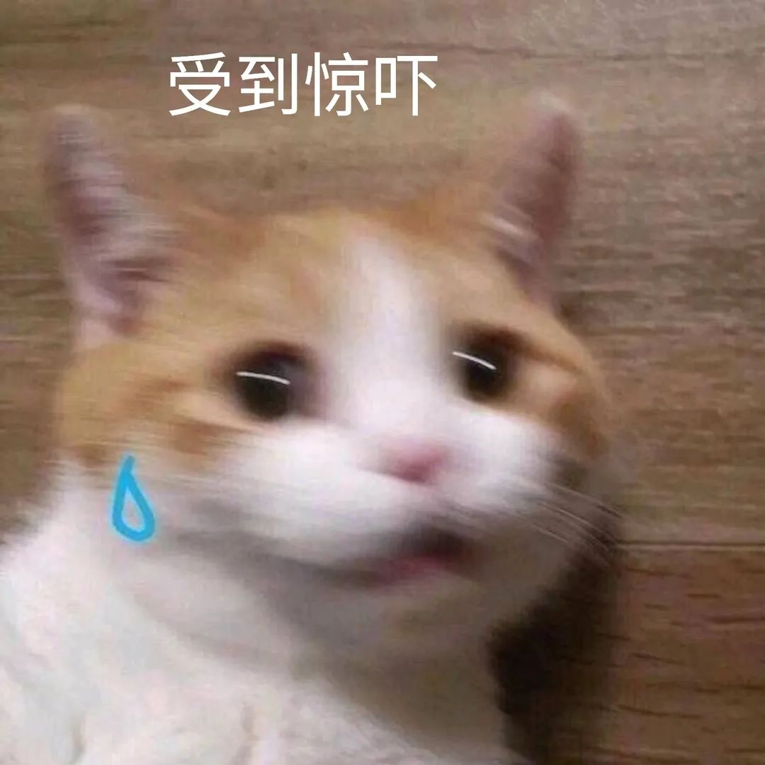 保山新闻网