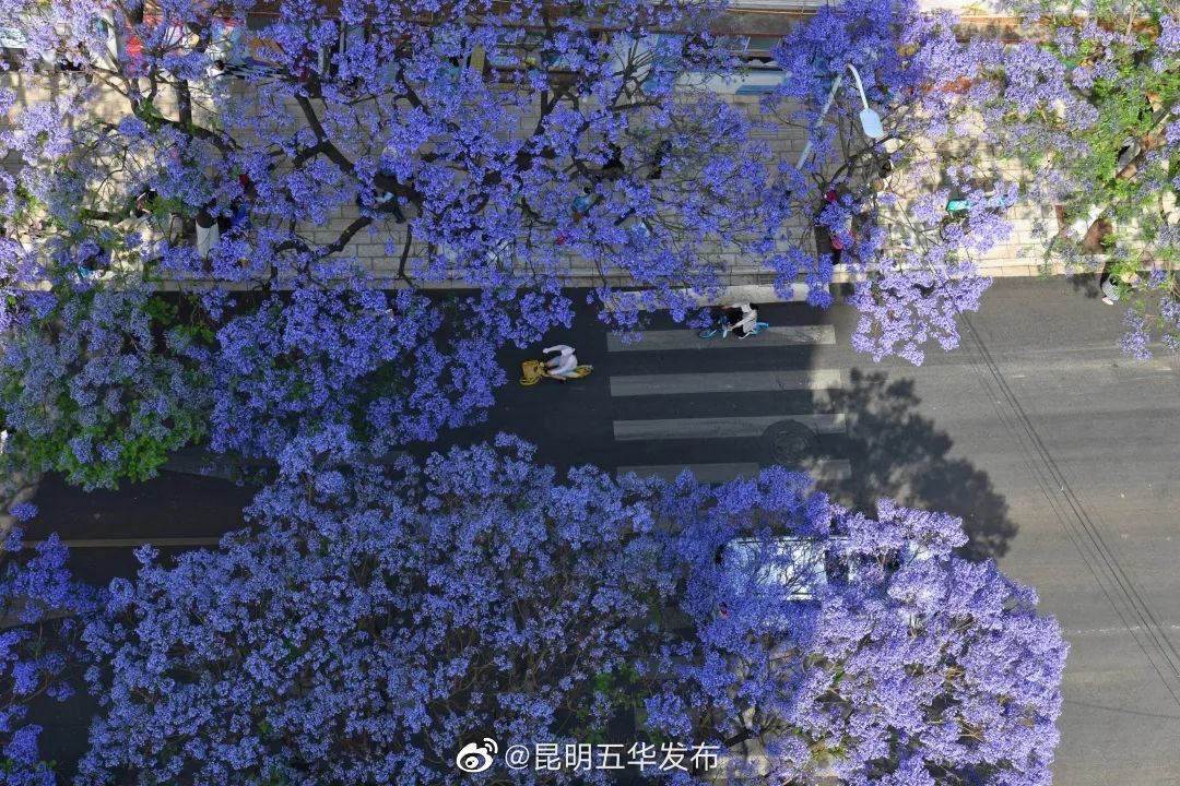 昆明五华发布