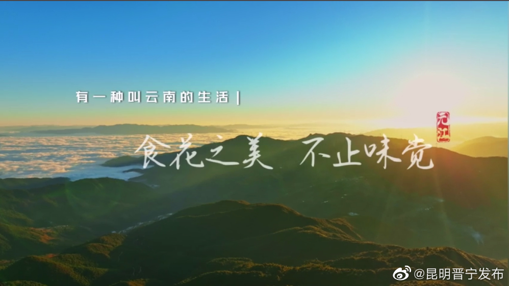 食花之美，不止味觉