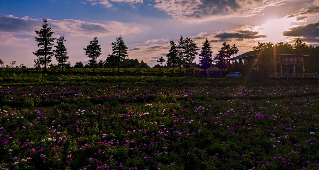 昆明阳宗海风景名胜区