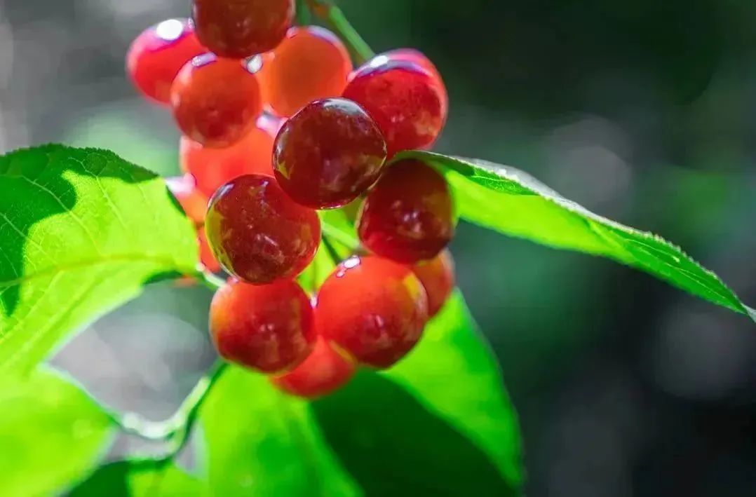 晋宁诗意的栖居地