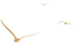 昆明文旅