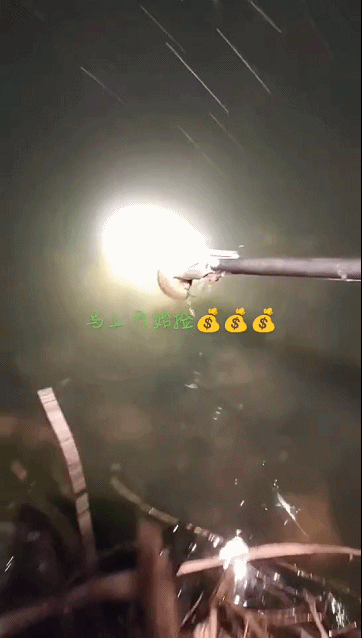 春城晚报