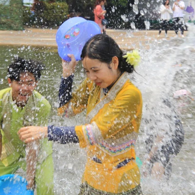 西双版纳望天树景区