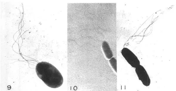 昆明阳宗海风景名胜区