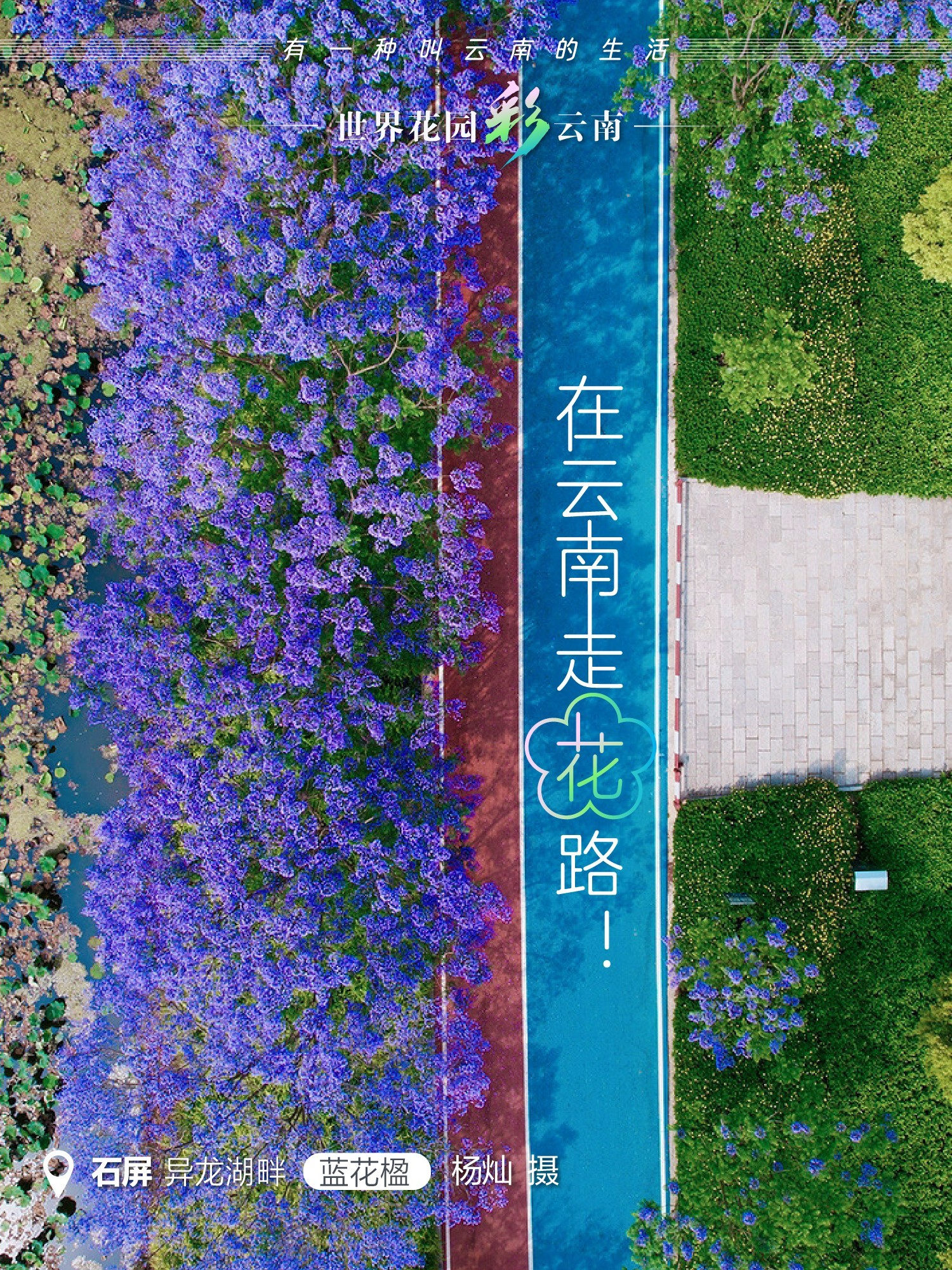 云南省文化和旅游厅