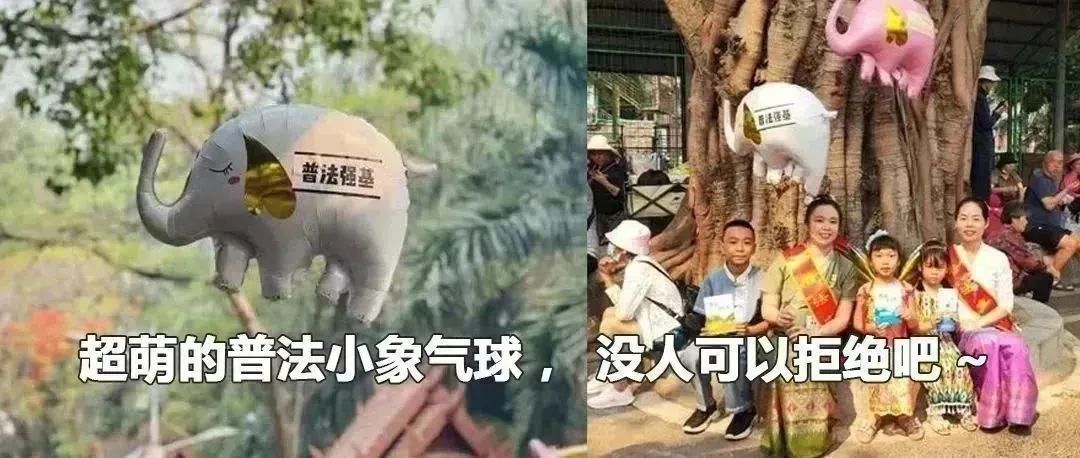 云南政法