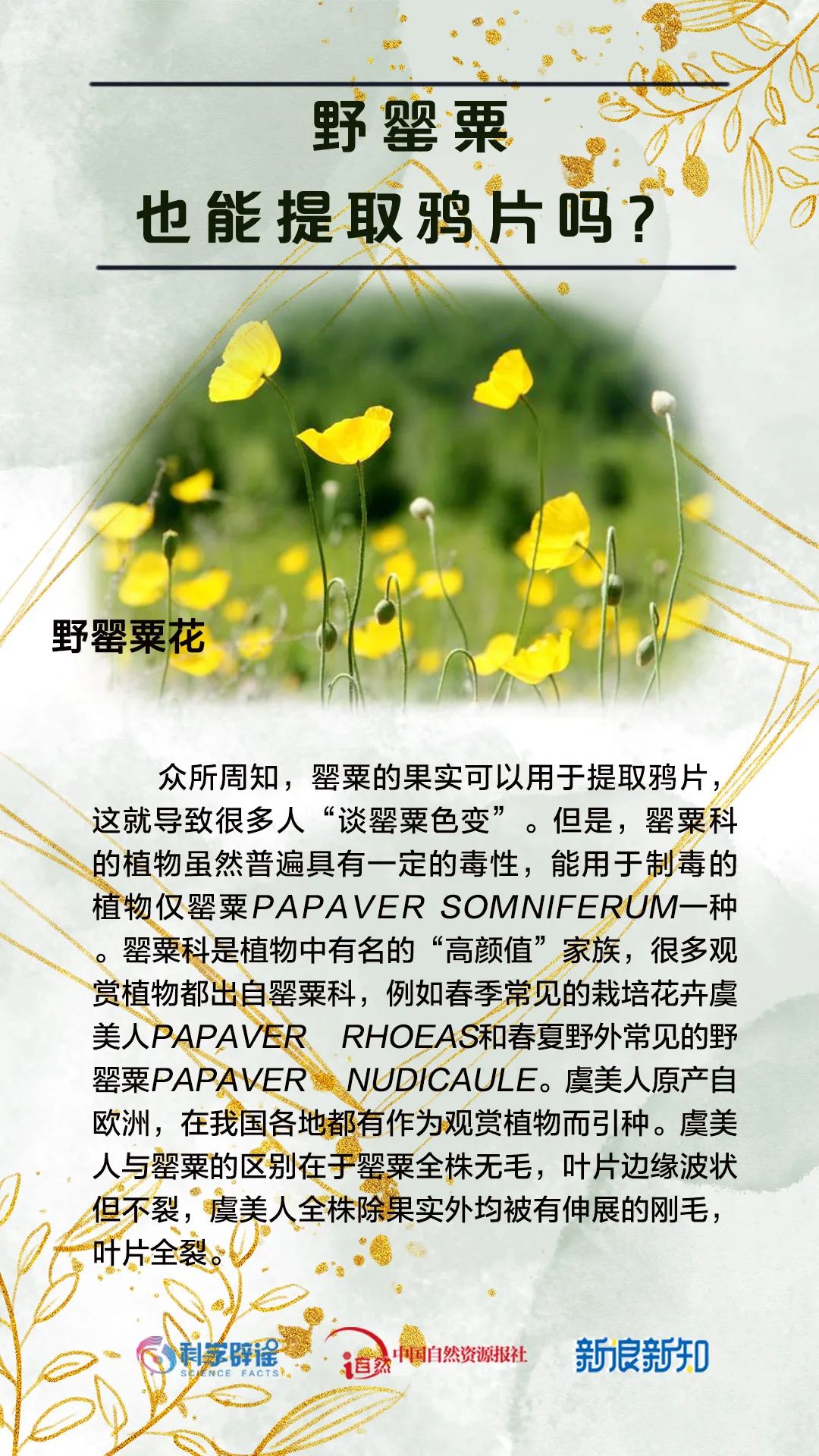 美丽云南微科普