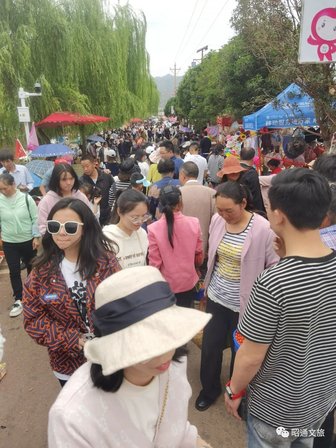 昆明信息港/cnkmxxg