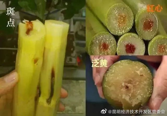 昆明经济技术开发区管委会