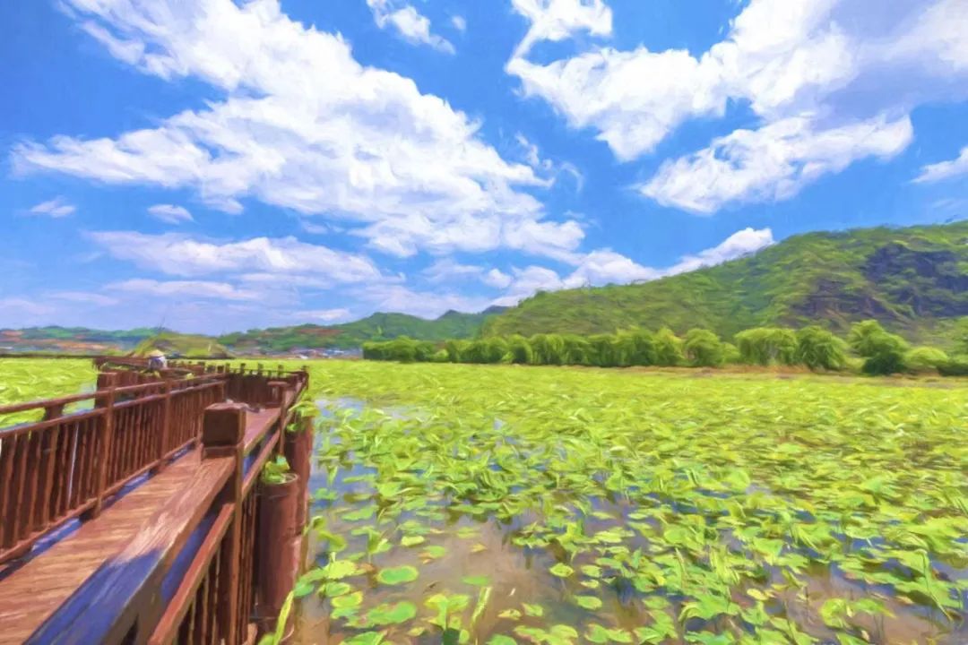 保山新闻网