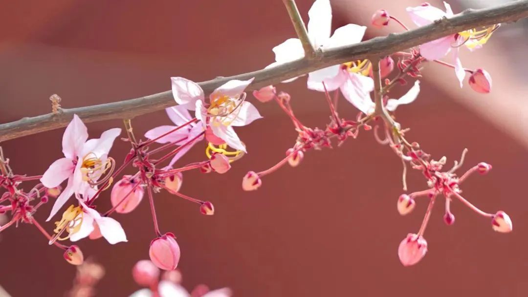 普洱日报