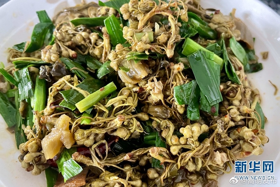 嵩明发布