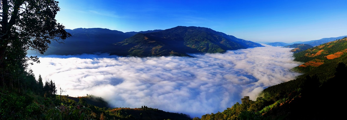 云南省文化和旅游厅