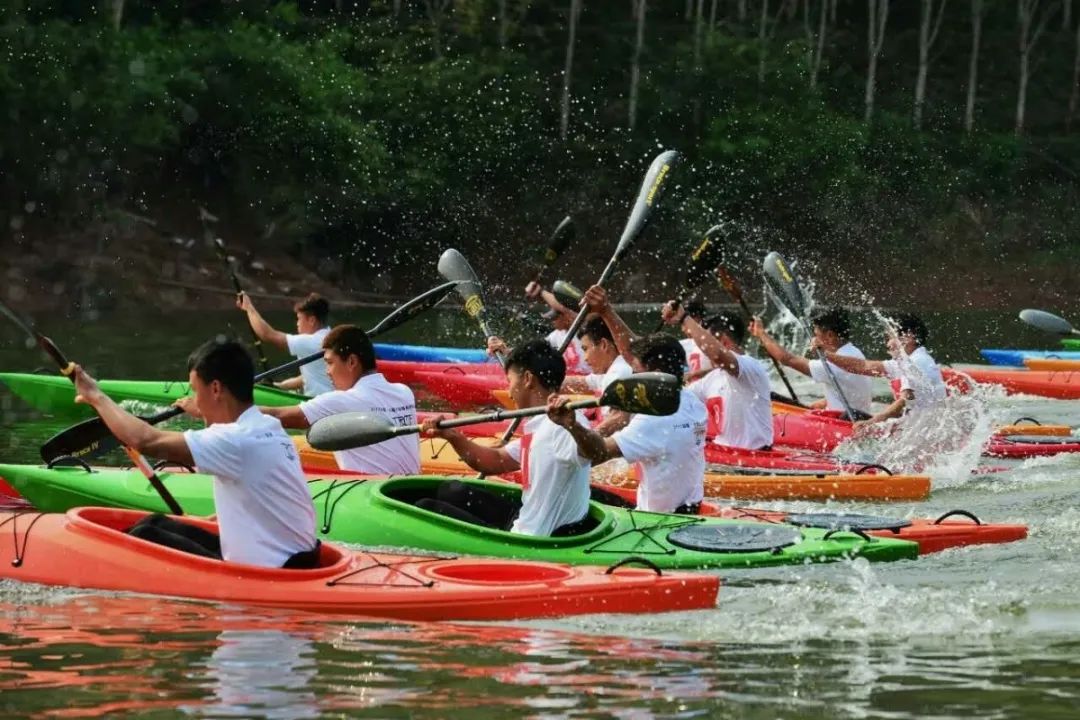 西双版纳望天树景区