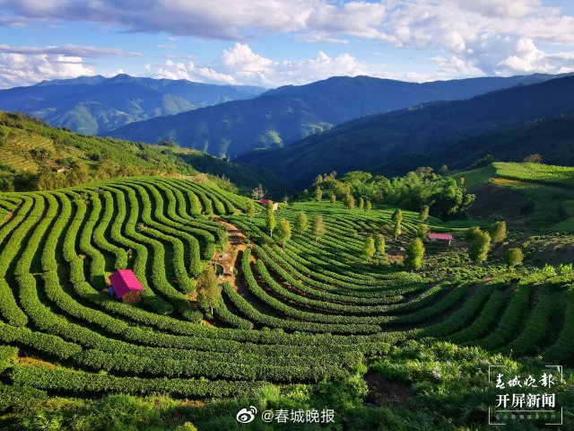 绿春春常绿 | 大黑山镇：希望在春天里 好日子在路上