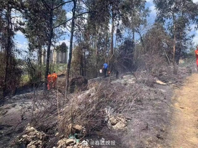 昆明一男子上坟祭祀引发火灾被立案调查