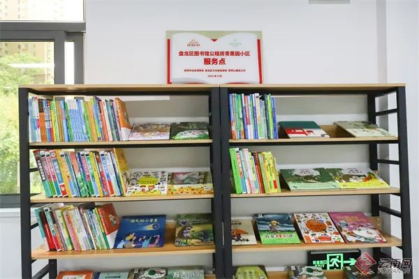 微观盘龙