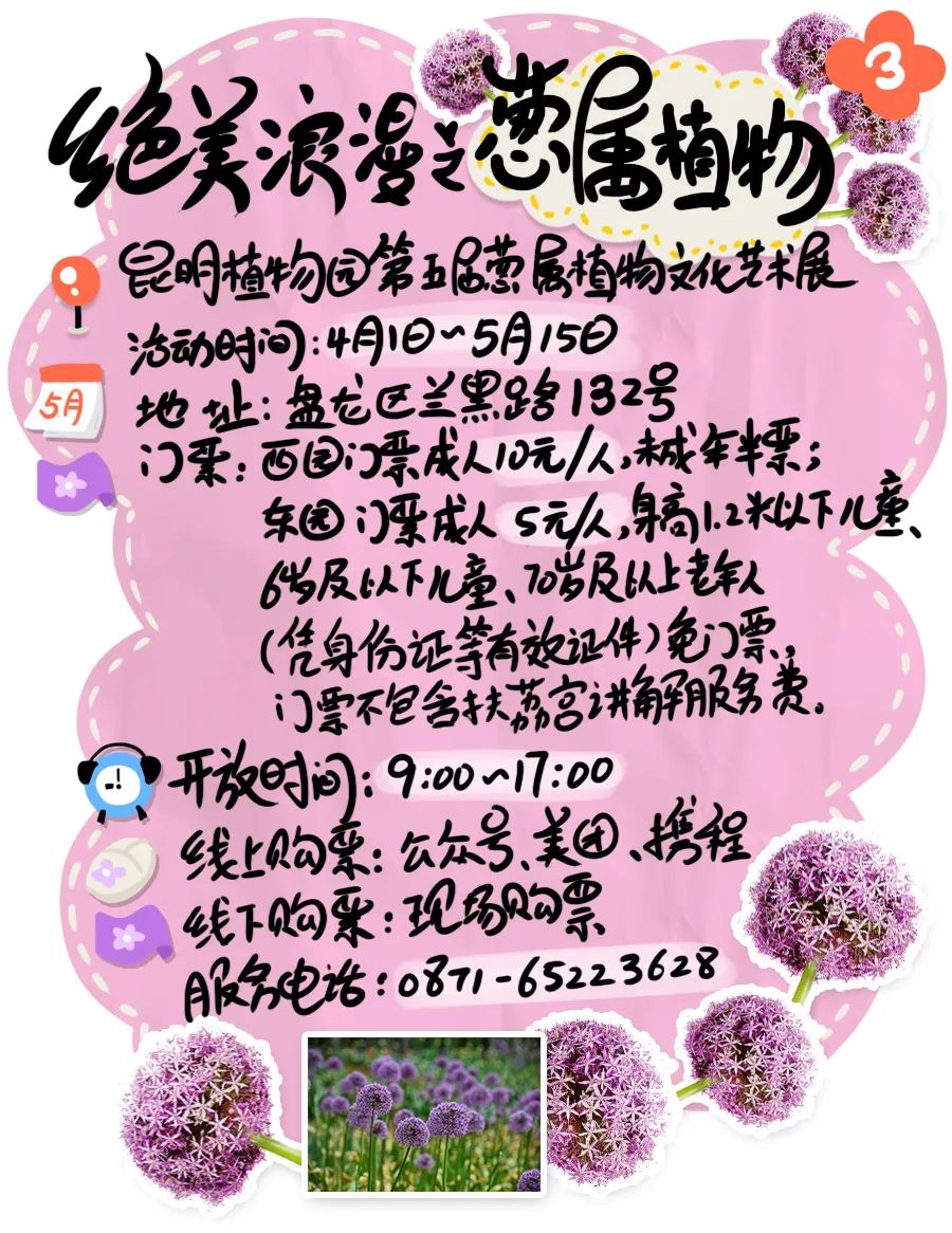 微观盘龙