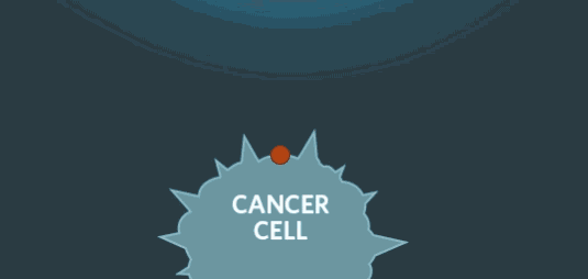 昆明市西山区发布