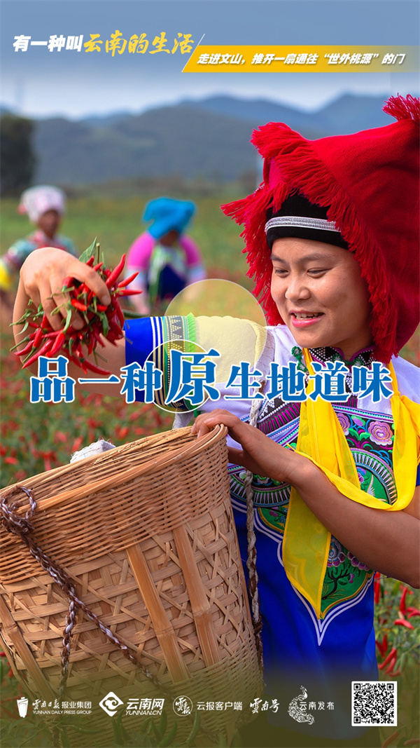 云南省文化和旅游厅