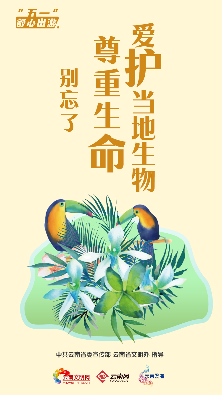 宜良之窗
