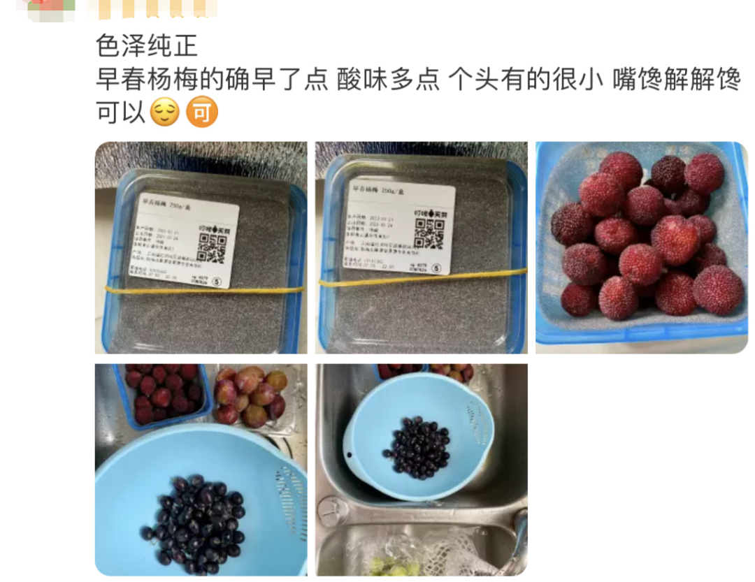 春城晚报