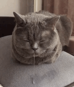 睡觉流口水可能是病