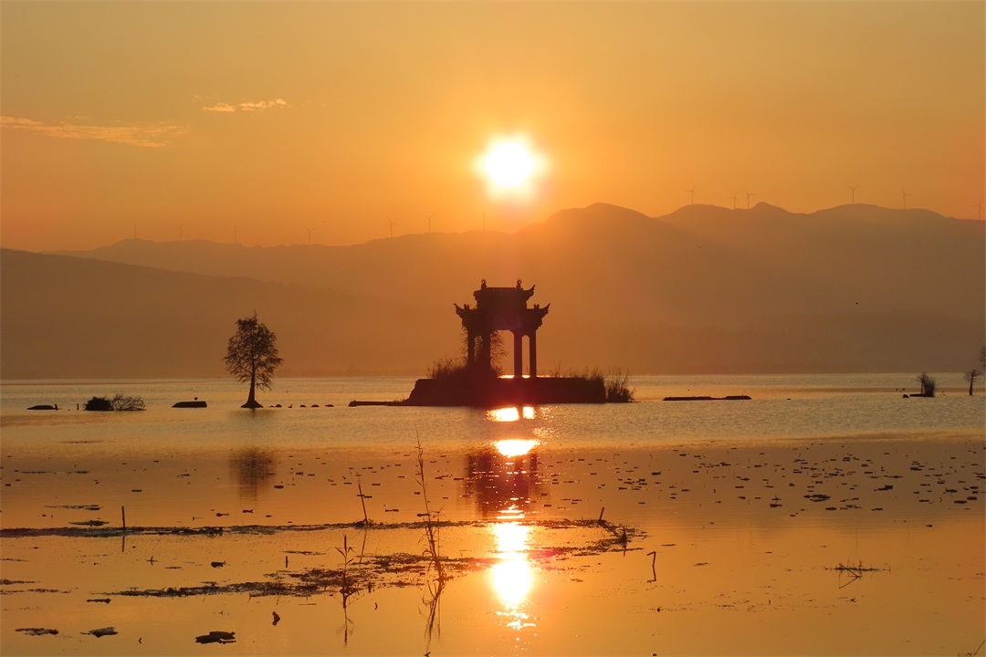 云南省文化和旅游厅