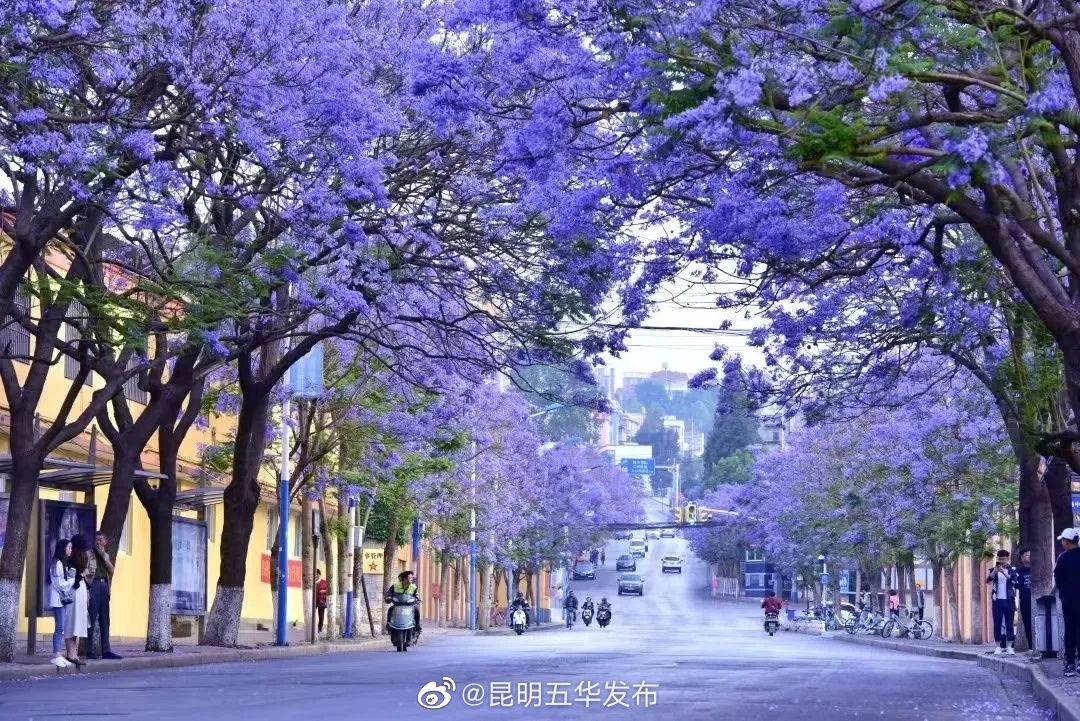 昆明五华发布
