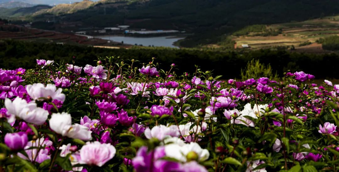 昆明阳宗海风景名胜区